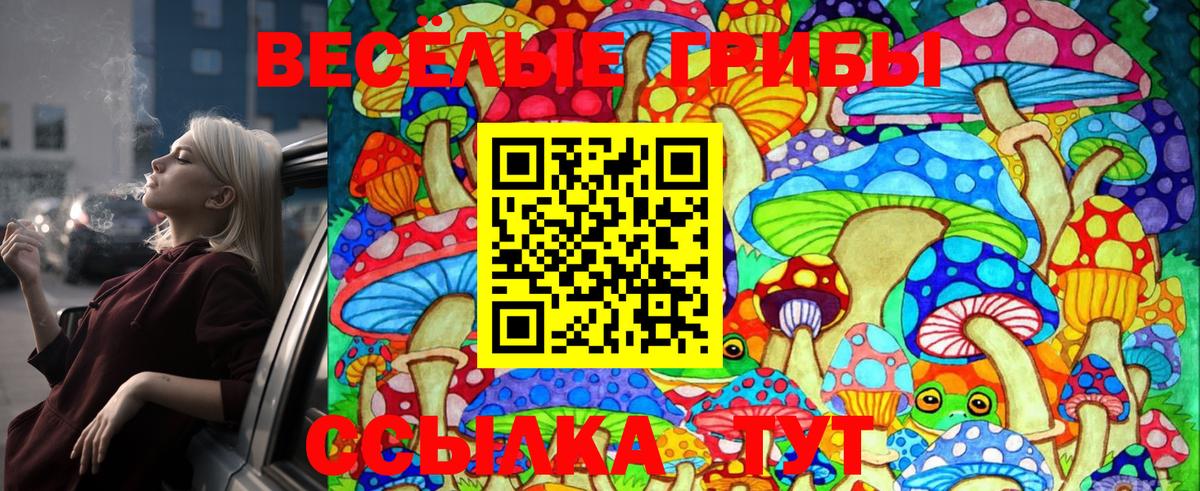Осинники  Псилоцибиновые грибы Magic Shrooms  Псилоцибиновые грибы Magic Shrooms  Вход с VPN 