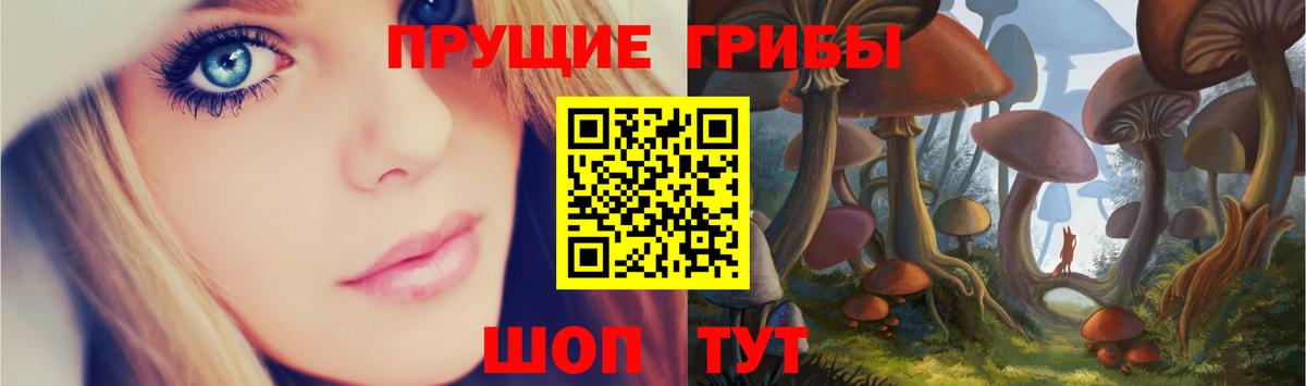 Галлюциногенные грибы GOLDEN TEACHER Осинники